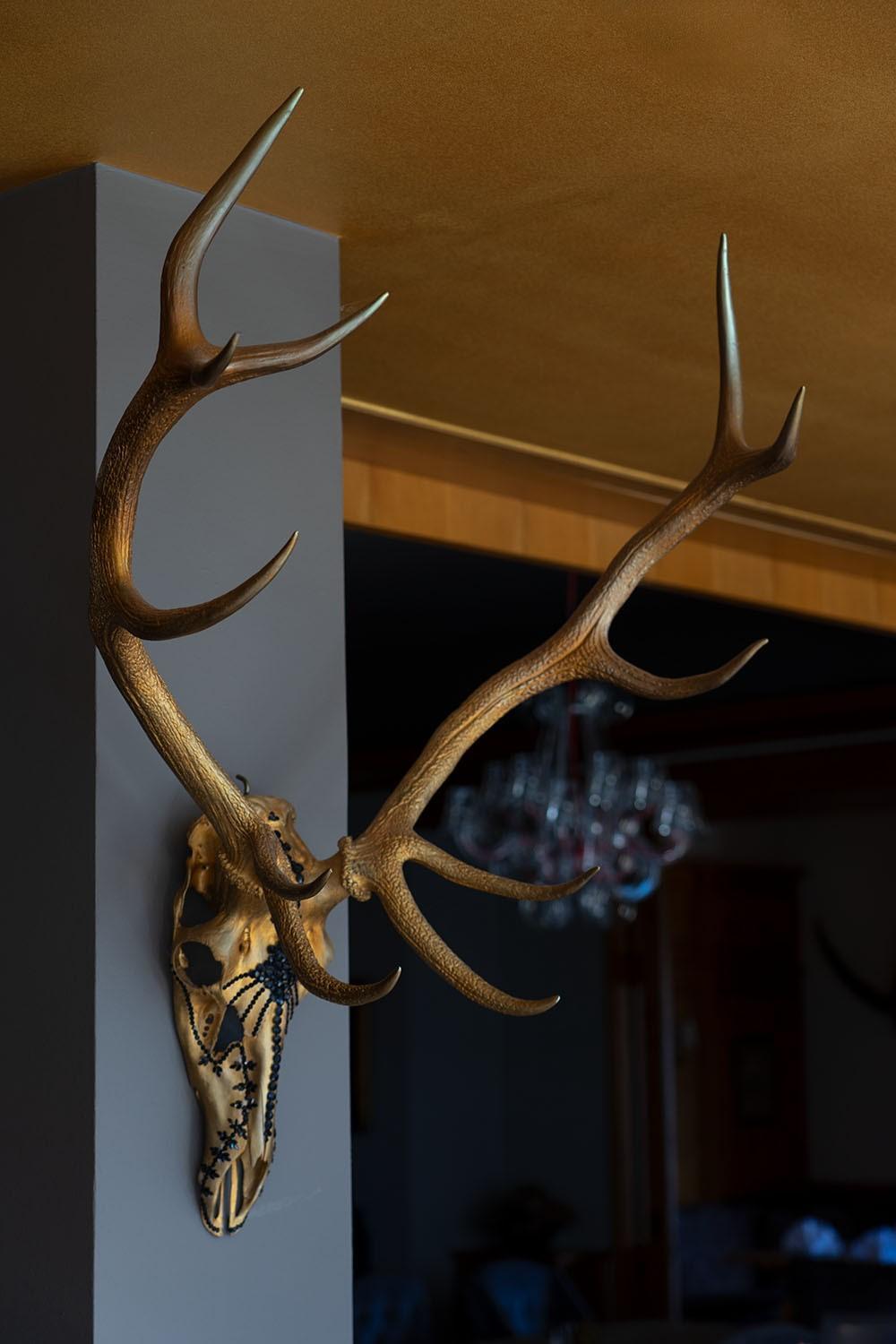 Wildauers Haidenhof Stay & Sleep Lienz Exterior foto